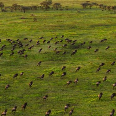 Serengeti National Park